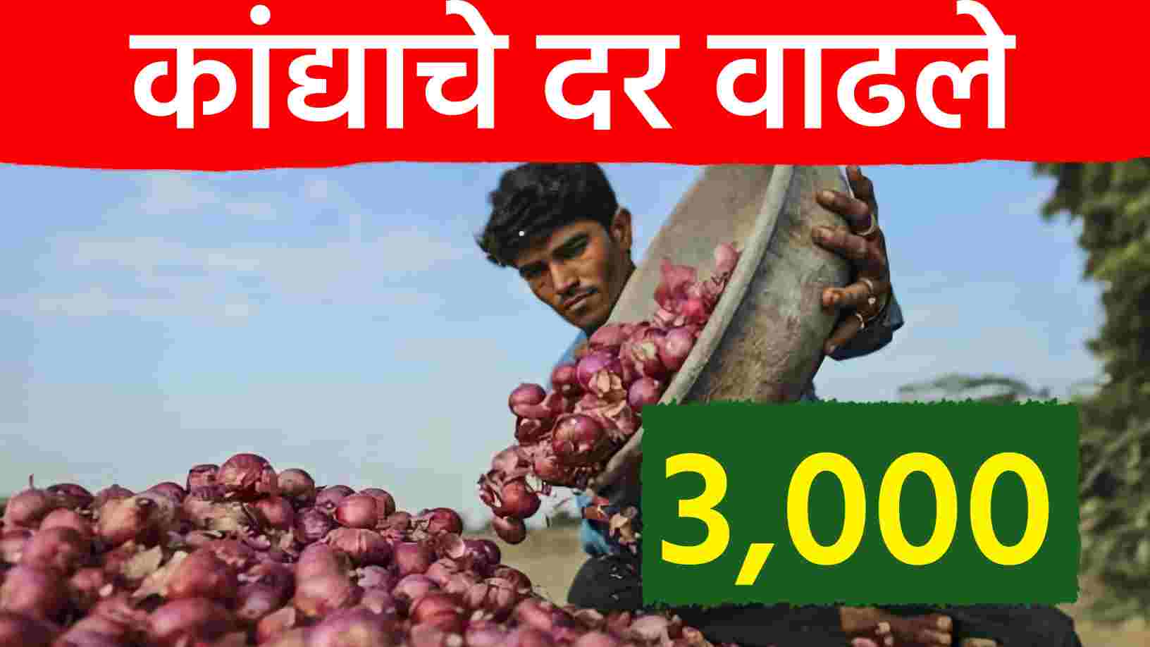 कांद्याच्या डोळ्यात अखेर आनंदाश्रू!